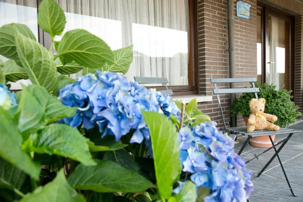 Apartament Hoevedomein Polderrust Nieuwpoort Zewnętrze zdjęcie